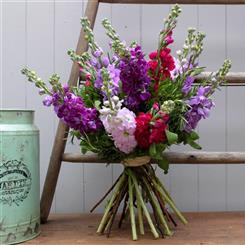 Scented Stocks Hand Tied