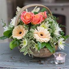 Organic Basket