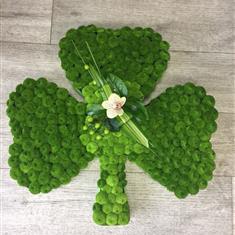 Shamrock Cushion