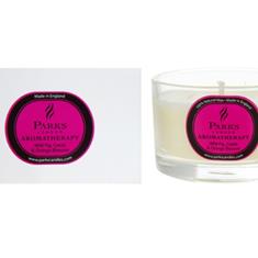 Parks Scented Candle