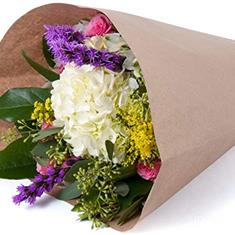Selection of cut flowers only