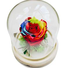 Eleanor The Everlasting Rose Dome