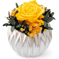 Celia Pearl Grace in Bloom