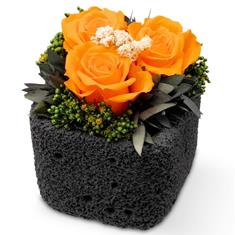 Elsa Triple Rose Elegance