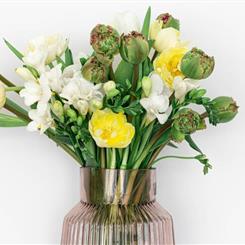 Bloom Subscription