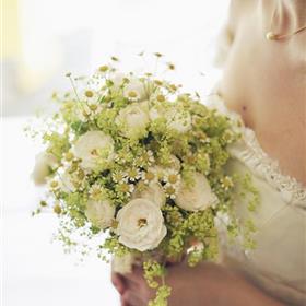 fwthumbbeautiful-1835116_960_720.jpg