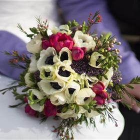 fwthumbbride-1289175_960_720.jpg