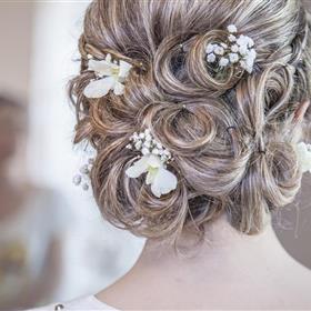 fwthumbhair-2089548_960_720.jpg