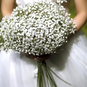 fwthumbwedding-photos-885886_960_720.jpg