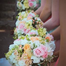 fwthumbflower-1019506_960_720.jpg