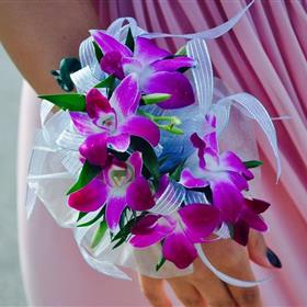 fwthumbprom-1625181_960_720.jpg