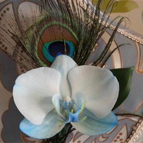 fwthumbblue-orchid-peacock-feather-buttonhole.jpg