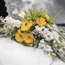 fwthumbflowers-447256_960_720.jpg