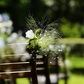 fwthumbflowers-1275254_960_720.jpg