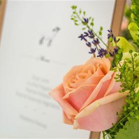 fwthumbwedding-1937029_960_720.jpg