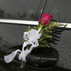 fwthumbrose-1395318_960_720.jpg
