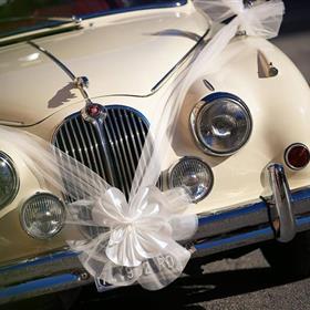 fwthumbwedding-758001_960_720.jpg