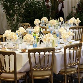 fwthumbaffair-1238434_960_720.jpg