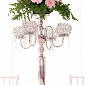 fwthumbroses-1521275_960_720.jpg