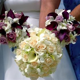 fwthumbarrangements-1344284_960_720.jpg