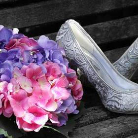 fwthumbbride-510841_960_720.jpg